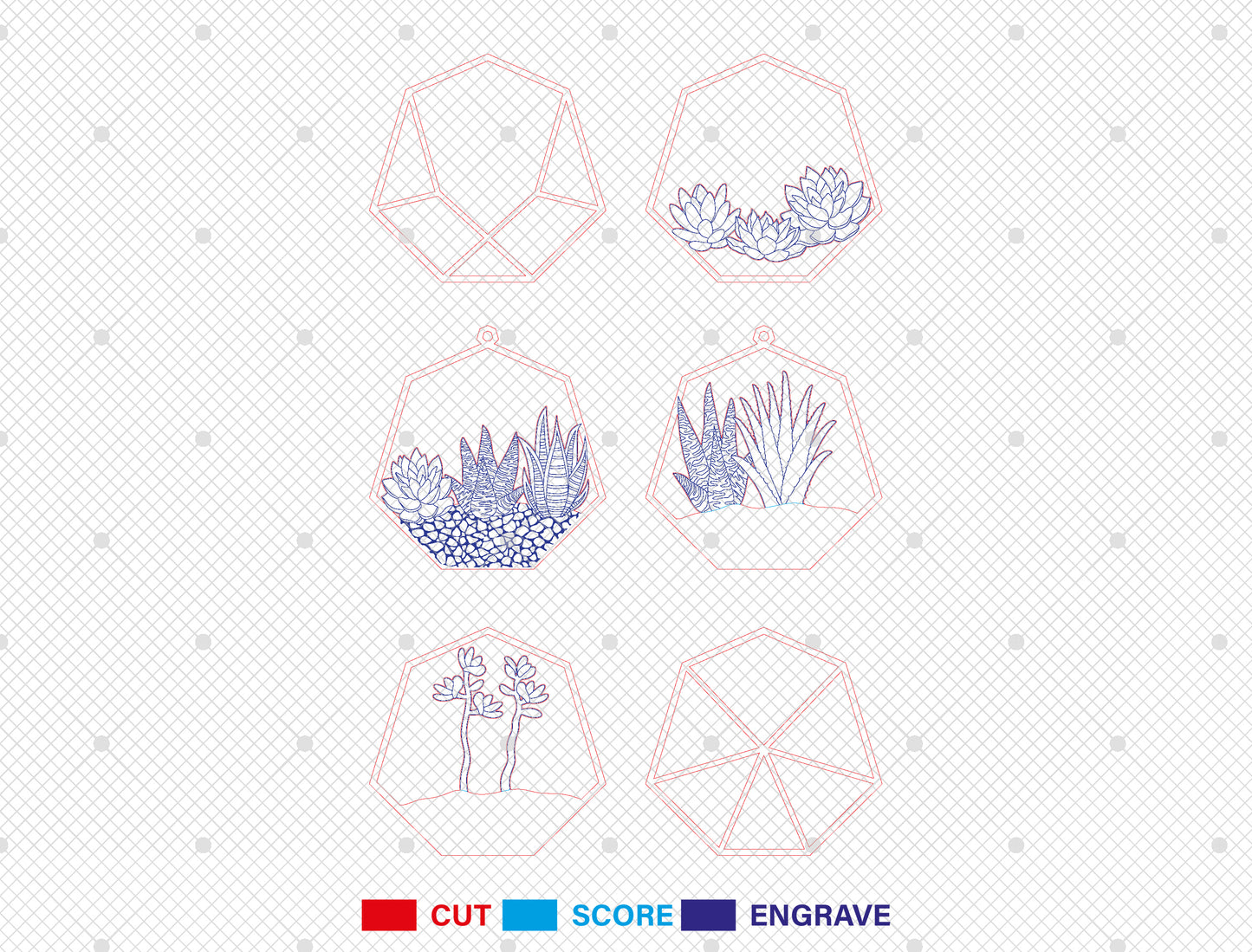 Succulent Hexagon SVG Multilayer Laser Cut File for xTool and Glowforge