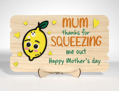 Funny Mom Wooden Sign SVG Bundle for Glowforge and xTool