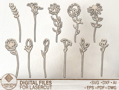 Wildflower Stem Minimal Botanical SVG Set for Glowforge and LightBurn